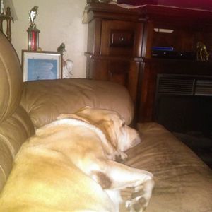 Meet your Posher, Priscilla